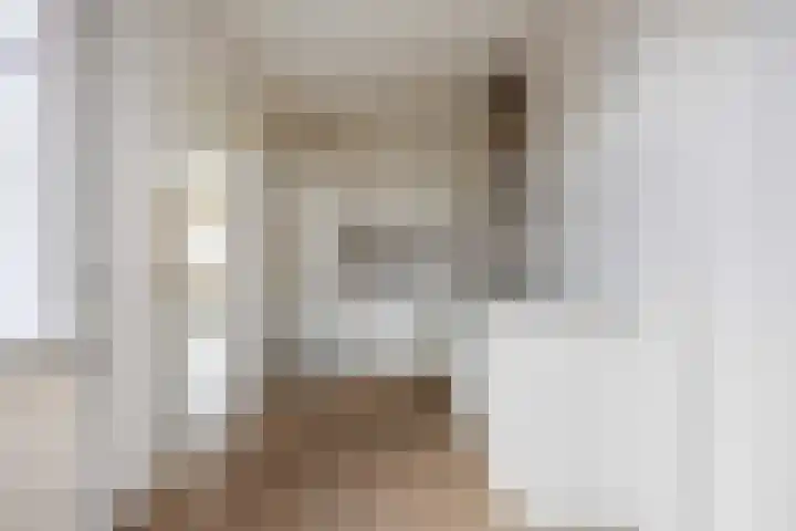 Evert C. Slimstraat 32 St.-Annaparochie thumbnail 17