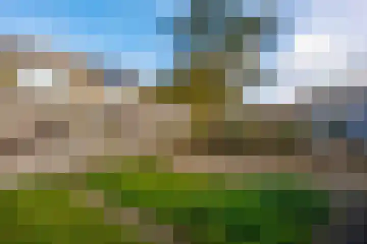 Evert C. Slimstraat 32 St.-Annaparochie thumbnail 45