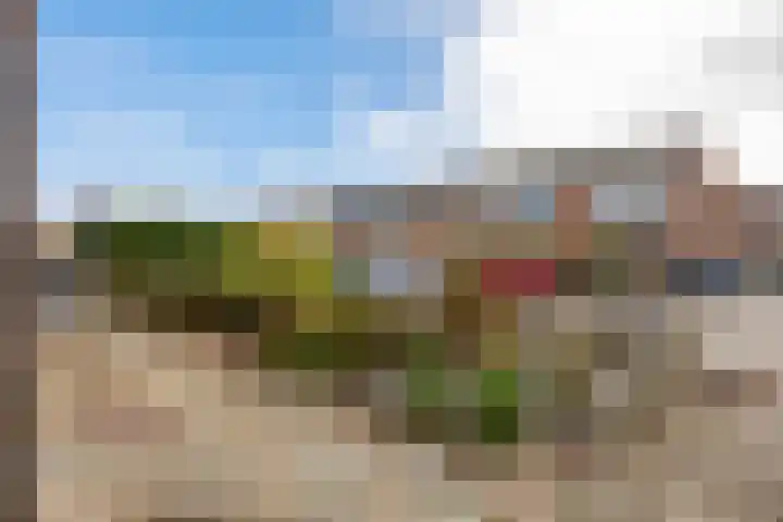 Evert C. Slimstraat 32 St.-Annaparochie thumbnail 48