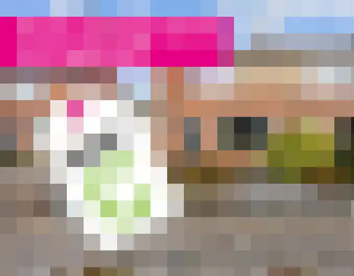 Evert C. Slimstraat 32 St.-Annaparochie thumbnail 52