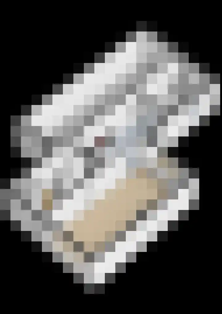 Evert C. Slimstraat 32 St.-Annaparochie thumbnail 54