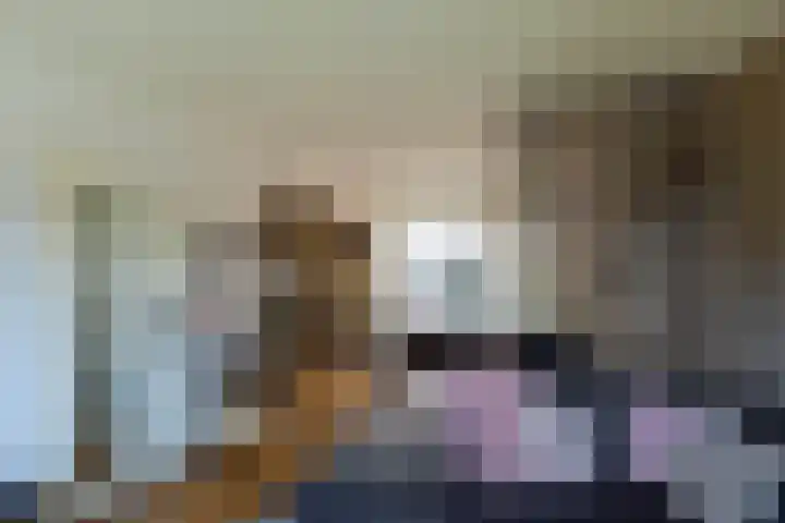 Evert C. Slimstraat 9 St.-Annaparochie thumbnail 10