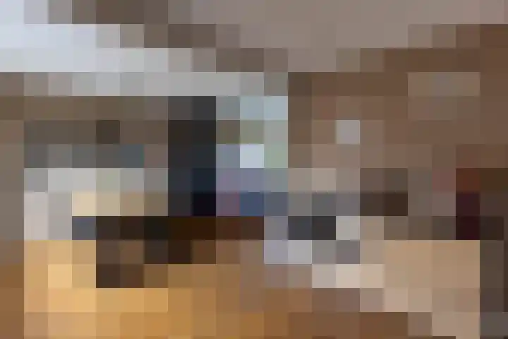 Evert C. Slimstraat 9 St.-Annaparochie thumbnail 11