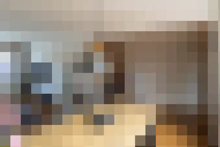 Evert C. Slimstraat 9 St.-Annaparochie thumbnail 12