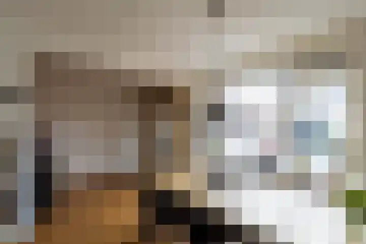 Evert C. Slimstraat 9 St.-Annaparochie thumbnail 14