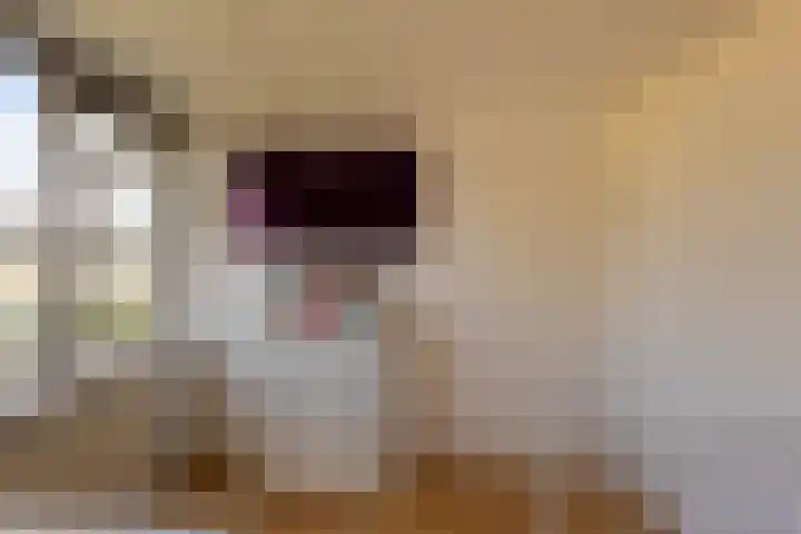 Evert C. Slimstraat 9 St.-Annaparochie thumbnail 23