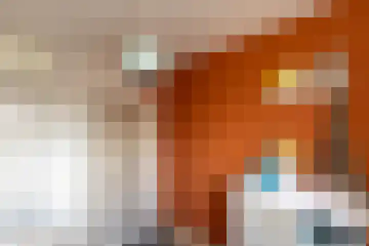 Evert C. Slimstraat 9 St.-Annaparochie thumbnail 27