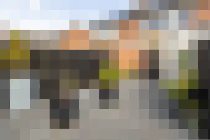 Evert C. Slimstraat 9 St.-Annaparochie thumbnail 32