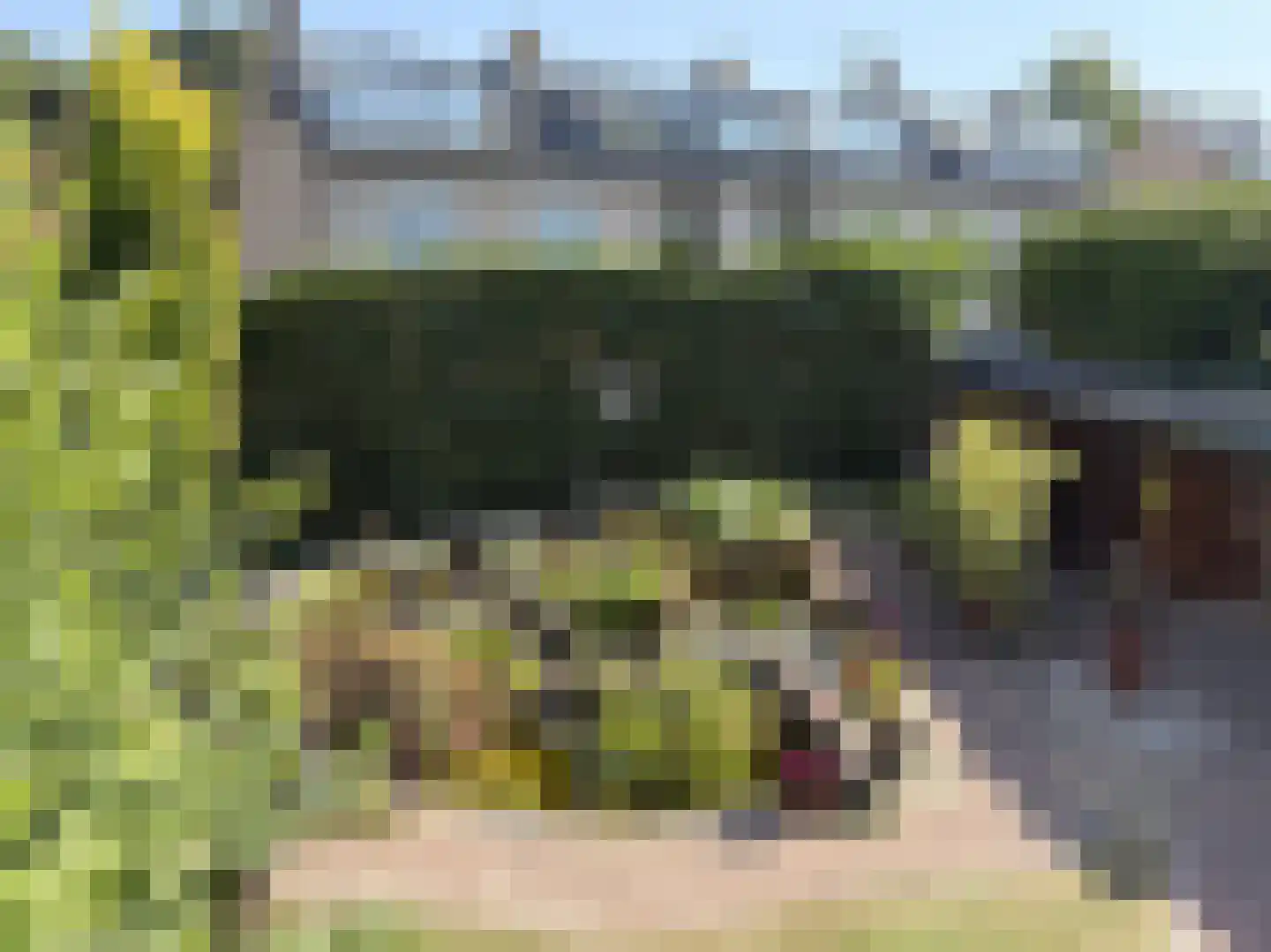 Evert Cornelislaan 24 Bilthoven thumbnail 28