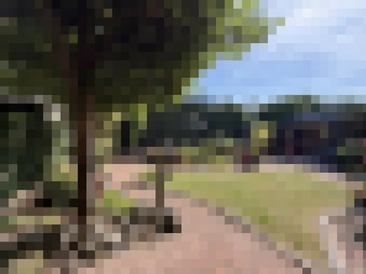 Evert Cornelislaan 24 Bilthoven thumbnail 33