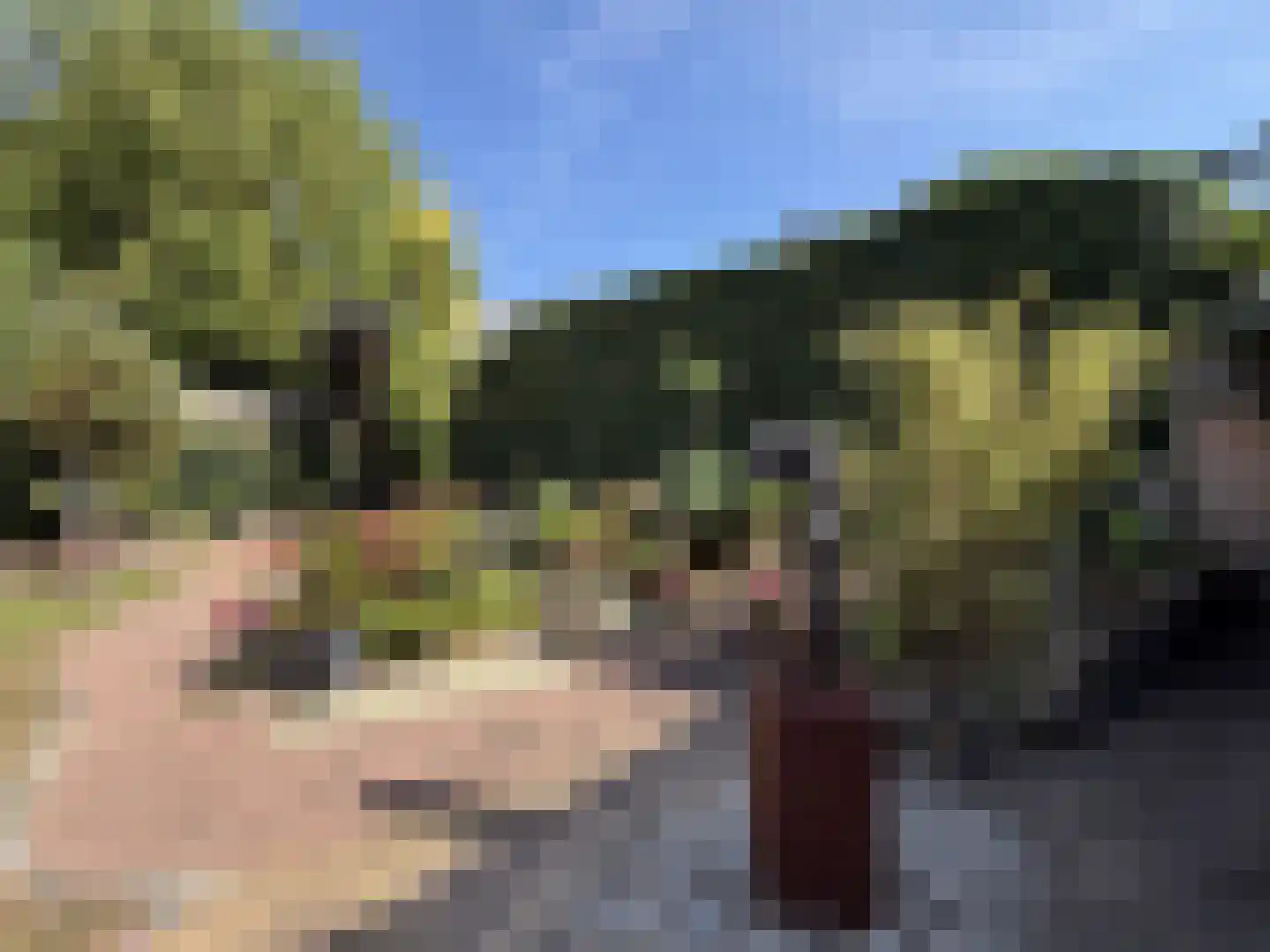 Evert Cornelislaan 24 Bilthoven thumbnail 36