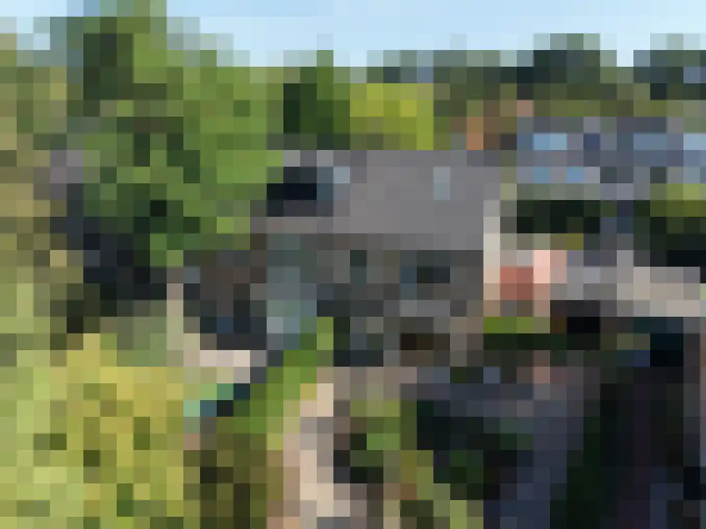 Evert Cornelislaan 24 Bilthoven thumbnail 37