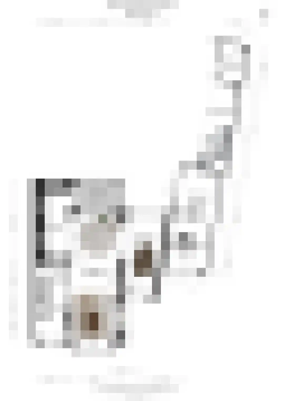 Evert Cornelislaan 24 Bilthoven thumbnail 39