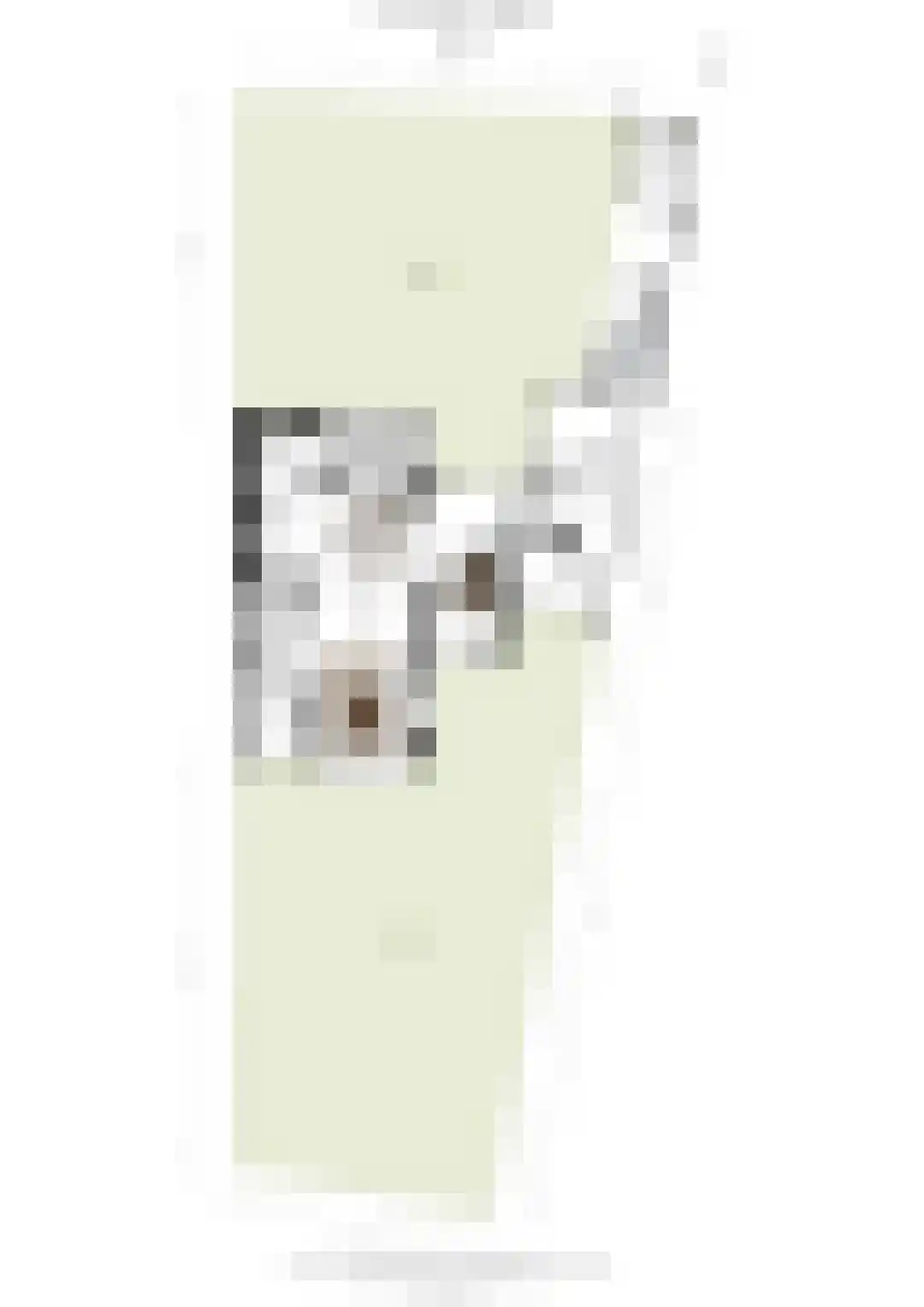 Evert Cornelislaan 24 Bilthoven thumbnail 43