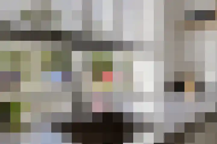 Evert Egbertsstraat 2 Sneek thumbnail 12