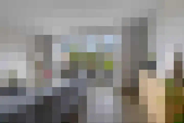 Evert Egbertsstraat 2 Sneek thumbnail 14