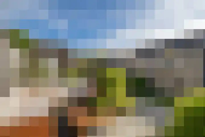 Evert Egbertsstraat 2 Sneek thumbnail 39