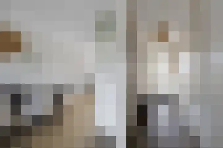 Evert Egbertsstraat 2 Sneek thumbnail 7