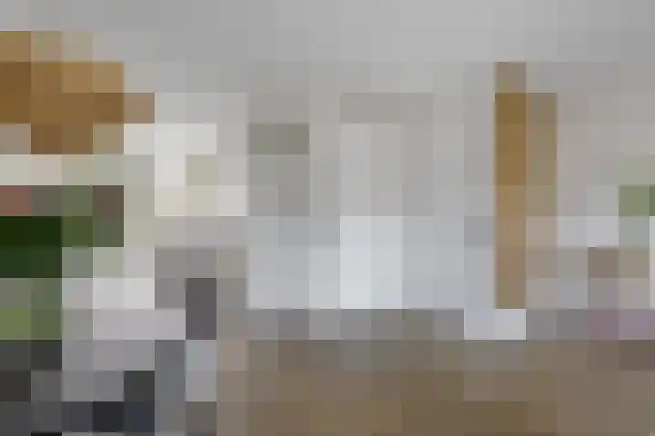 Evert Egbertsstraat 2 Sneek thumbnail 8