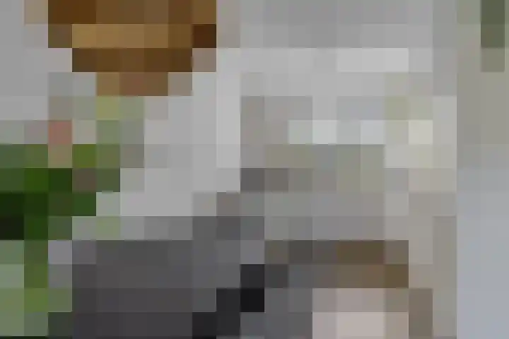 Evert Egbertsstraat 2 Sneek thumbnail 9