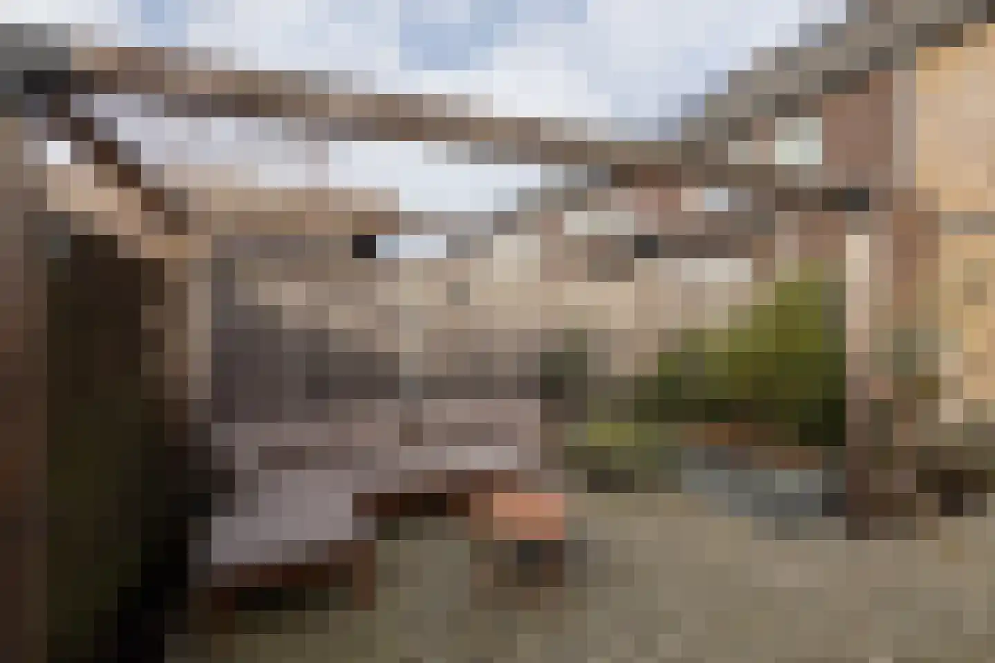 Evert Egbertsstraat 62 Sneek thumbnail 31