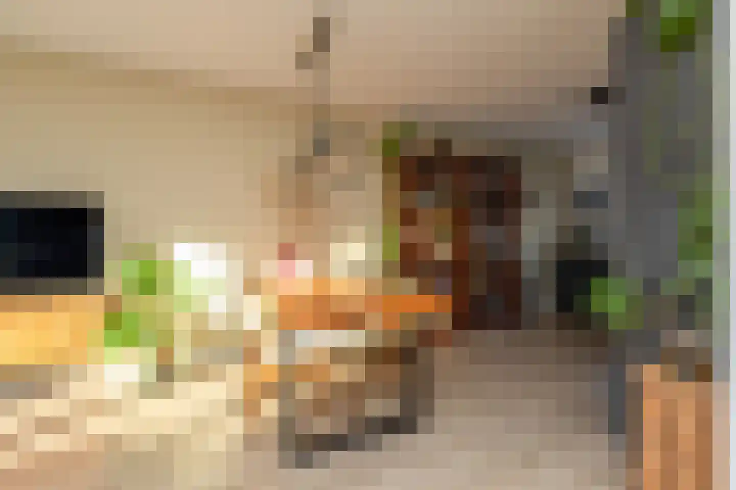 Evert Egbertsstraat 62 Sneek thumbnail 7