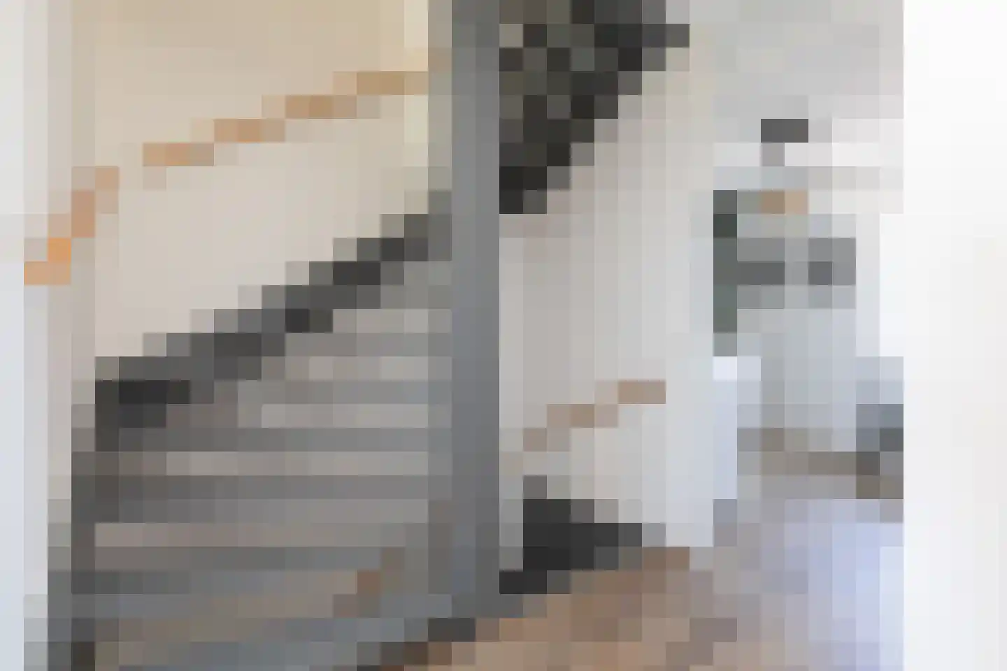 Evert Egbertsstraat 82 Sneek thumbnail 25