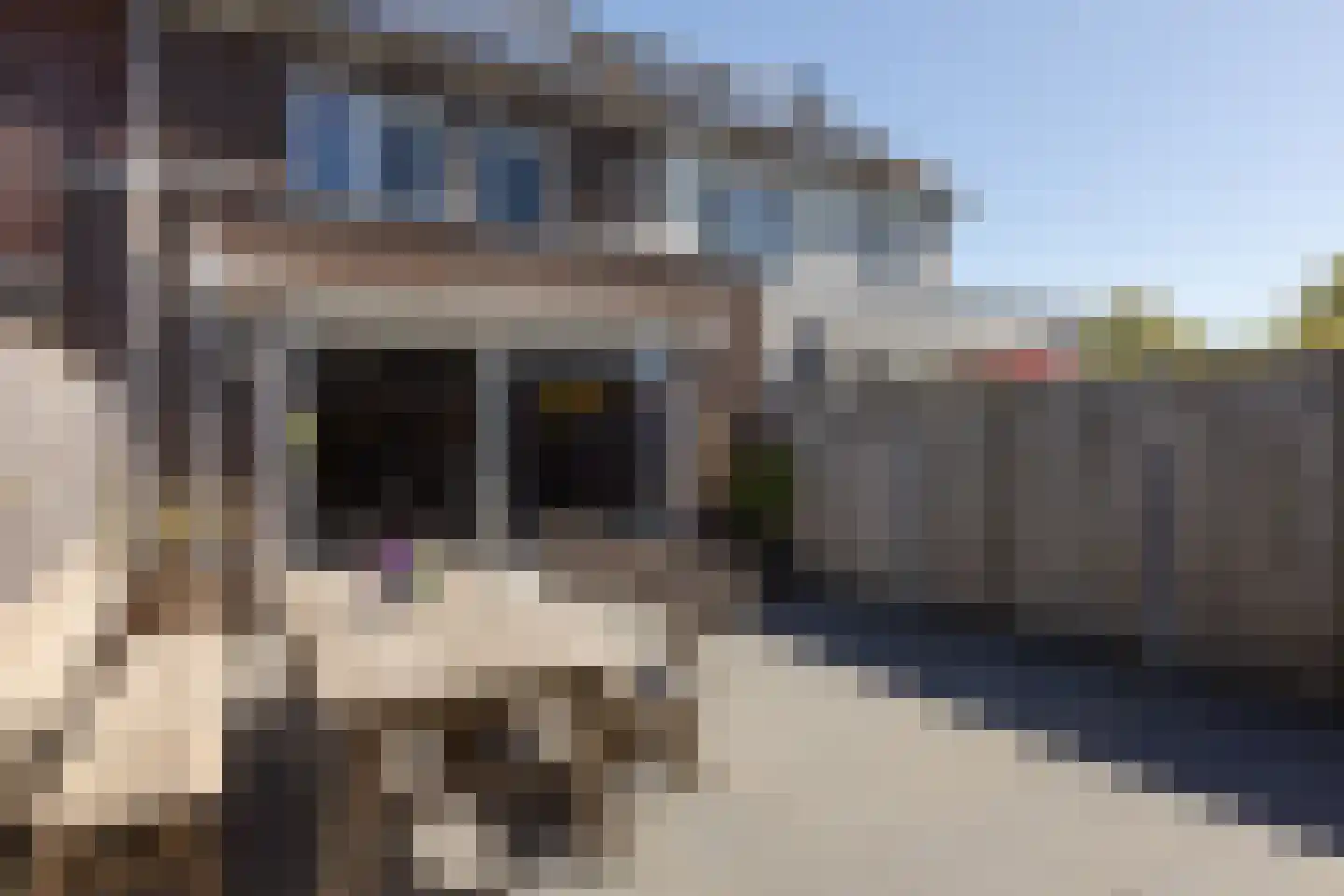 Evert Egbertsstraat 82 Sneek thumbnail 30