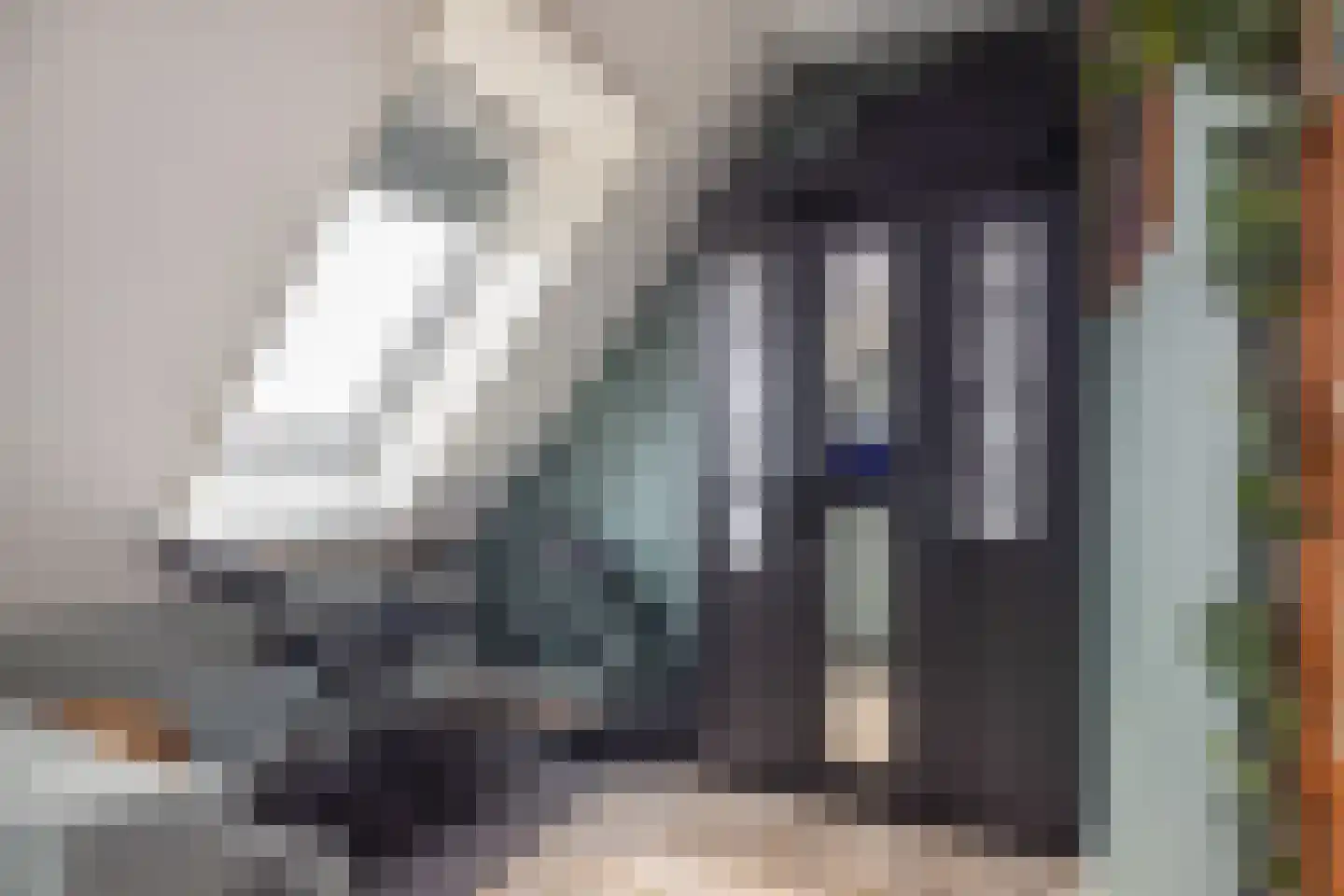 Evert Egbertsstraat 96 Sneek thumbnail 42