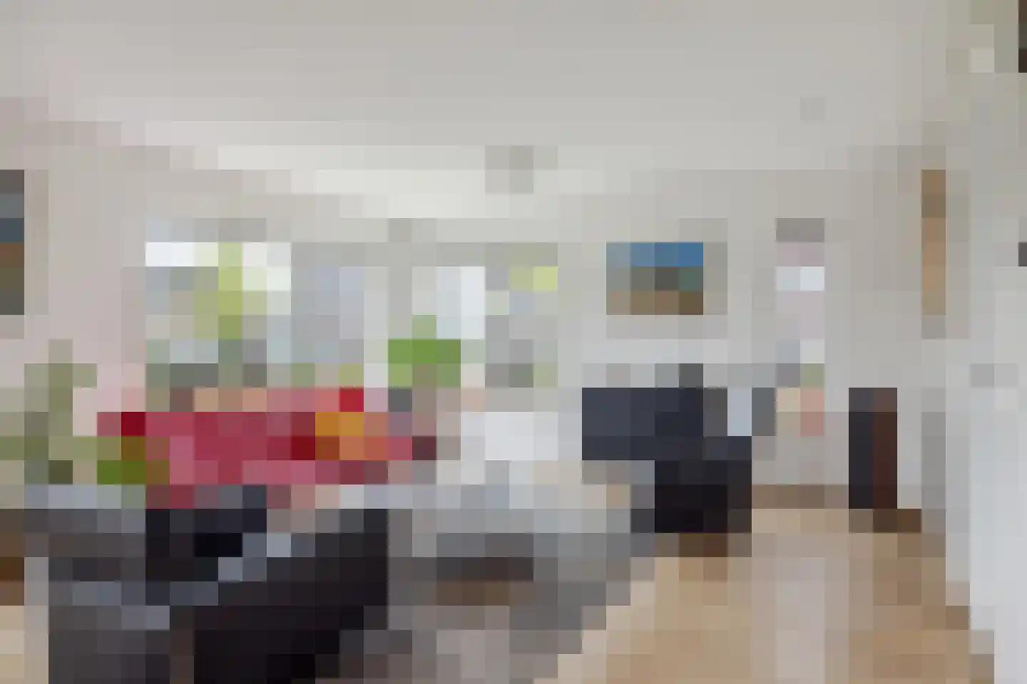 Evert Egbertsstraat 96 Sneek thumbnail 8