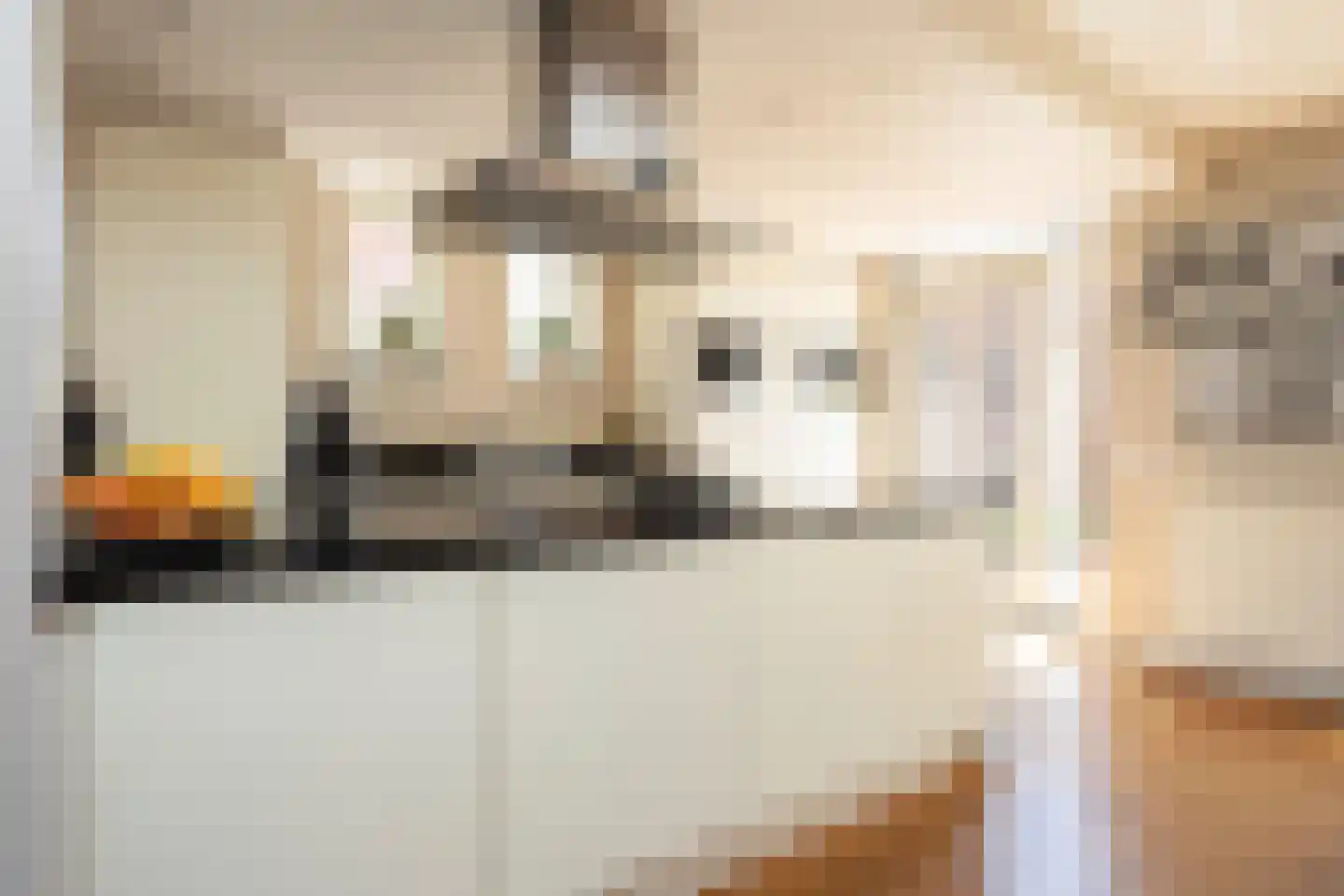 Evert Hartmansingel 25 Berkel en Rodenrijs thumbnail 28