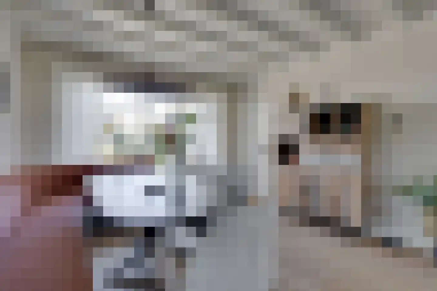 Evert Heusinkveldstraat 1 Lichtenvoorde thumbnail 13