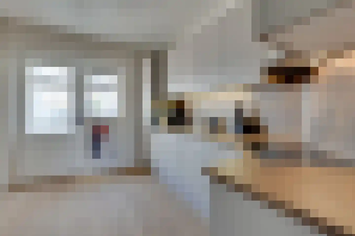 Evert Heusinkveldstraat 1 Lichtenvoorde thumbnail 19