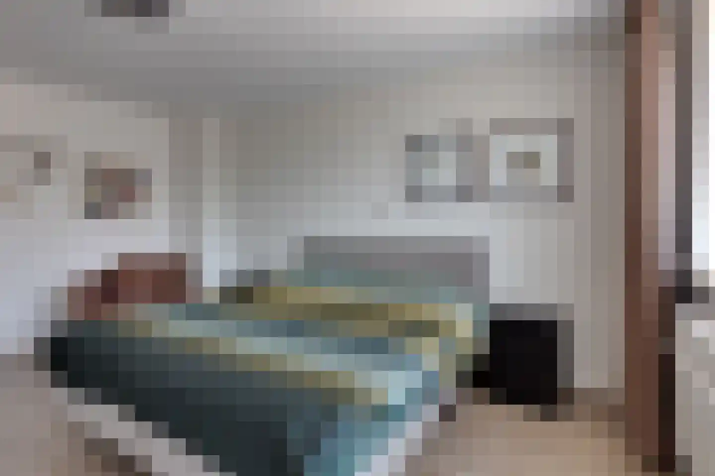 Evert Heusinkveldstraat 1 Lichtenvoorde thumbnail 25