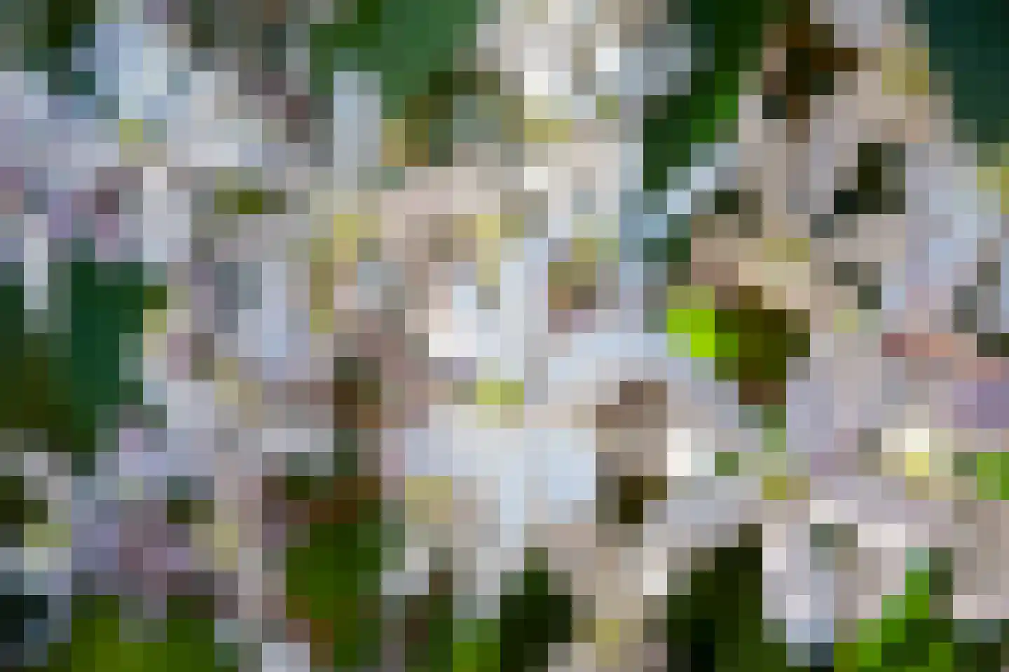 Evert Heusinkveldstraat 1 Lichtenvoorde thumbnail 51