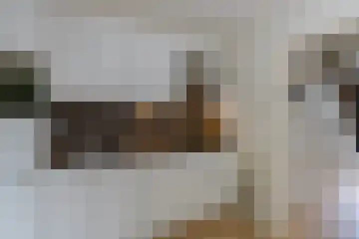 Evert Jan Boksweg 18 Beekbergen thumbnail 4