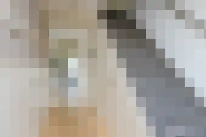 Evert Jan Boksweg 18 Beekbergen thumbnail 5