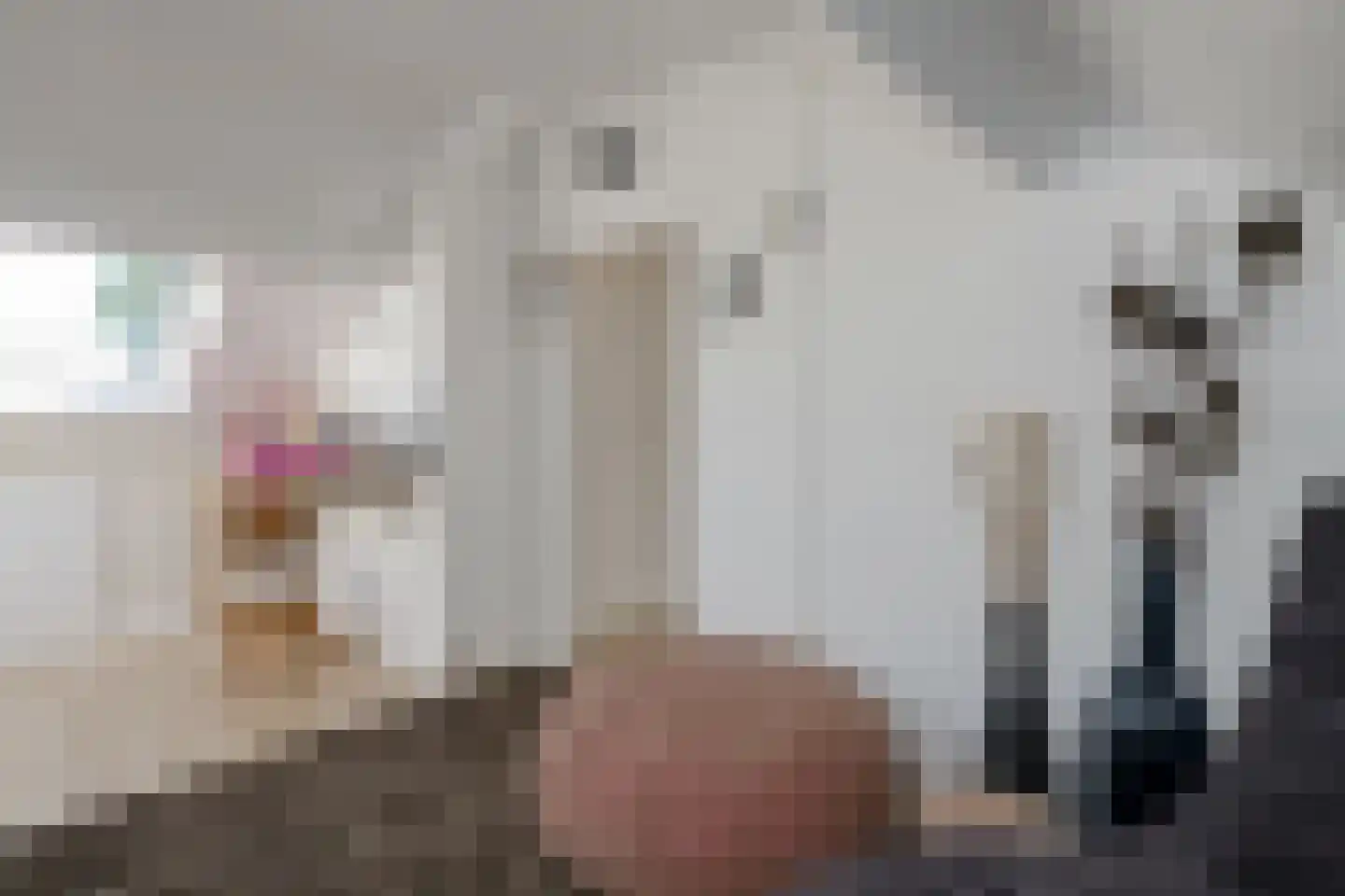 Evert Jan Boksweg 3 Beekbergen thumbnail 22
