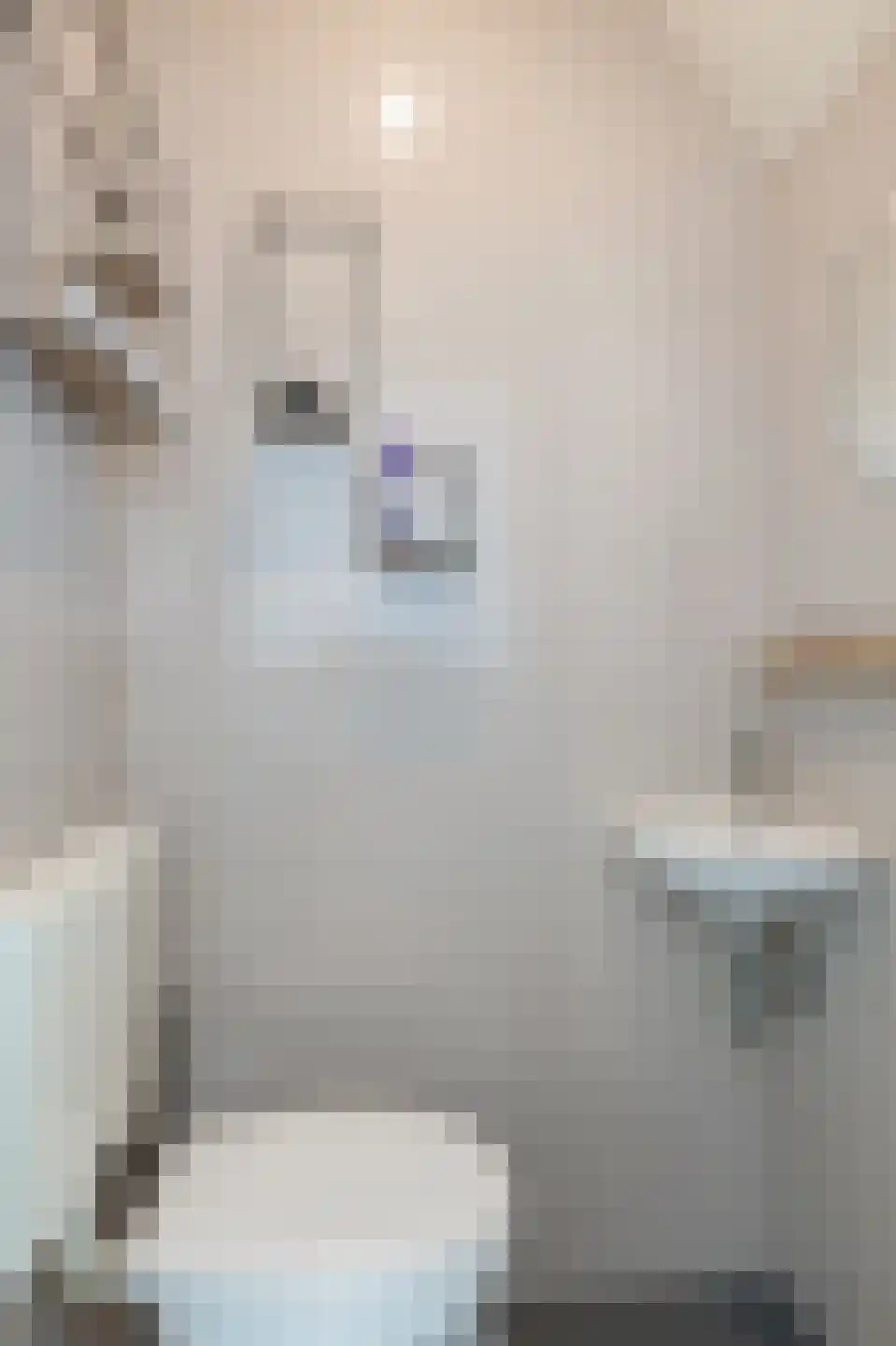 Evert Jan Boksweg 3 Beekbergen thumbnail 6