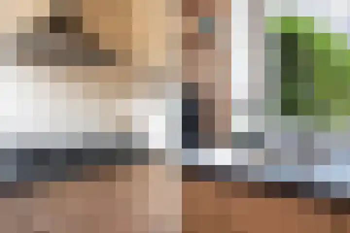 Evert Kuilemastraat 9 Berkel en Rodenrijs thumbnail 22
