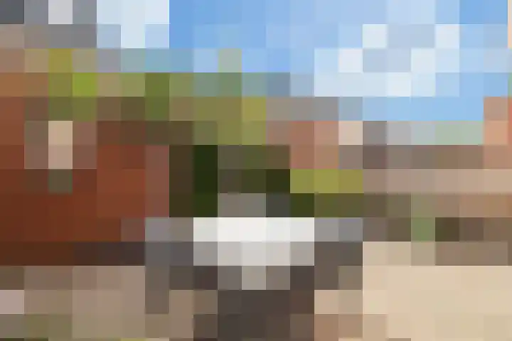 Evert Kuilemastraat 9 Berkel en Rodenrijs thumbnail 48