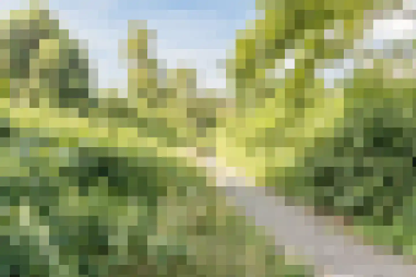 Evert Reddersland 19 Staphorst thumbnail 53