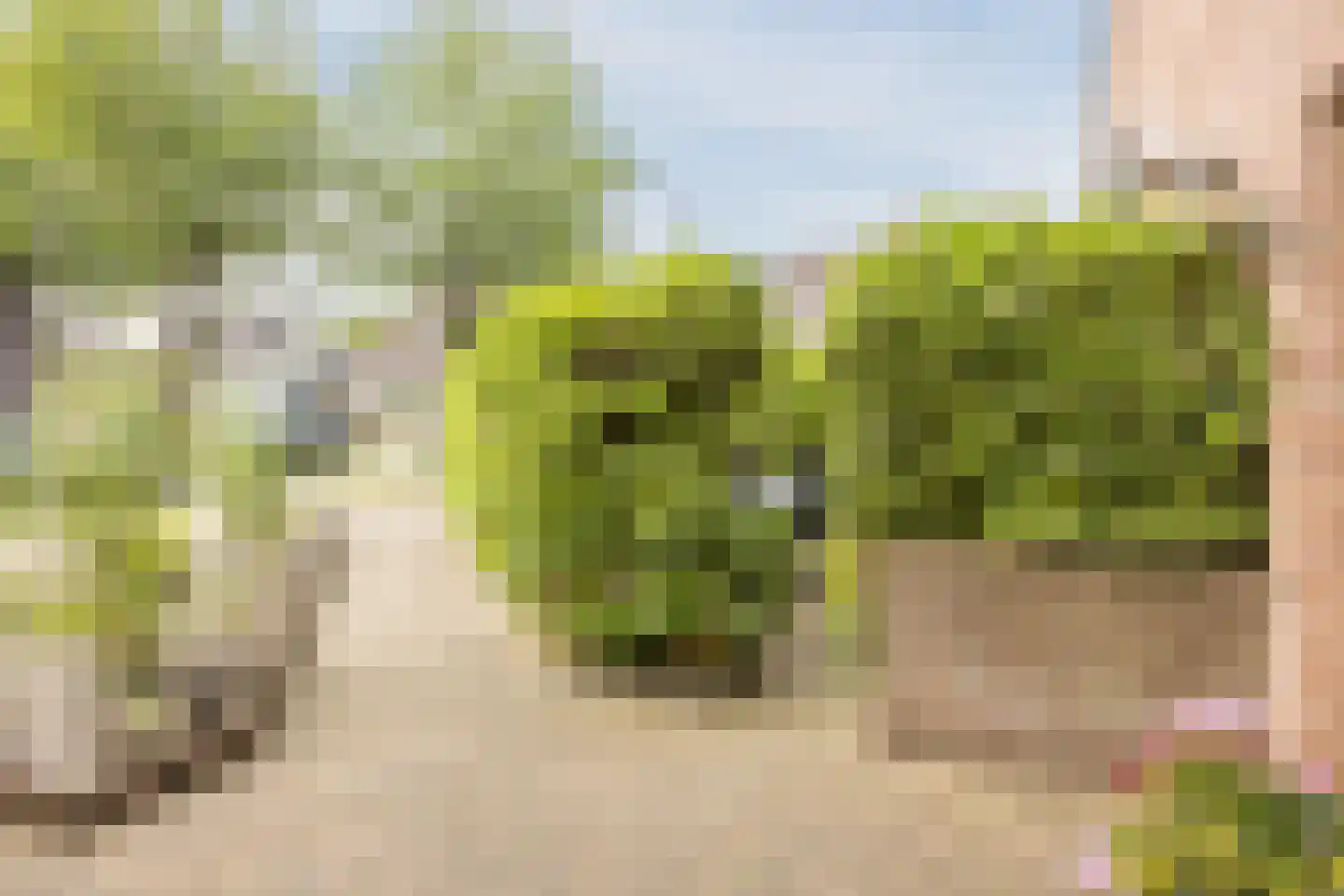 Evert Reddersland 19 Staphorst thumbnail 8