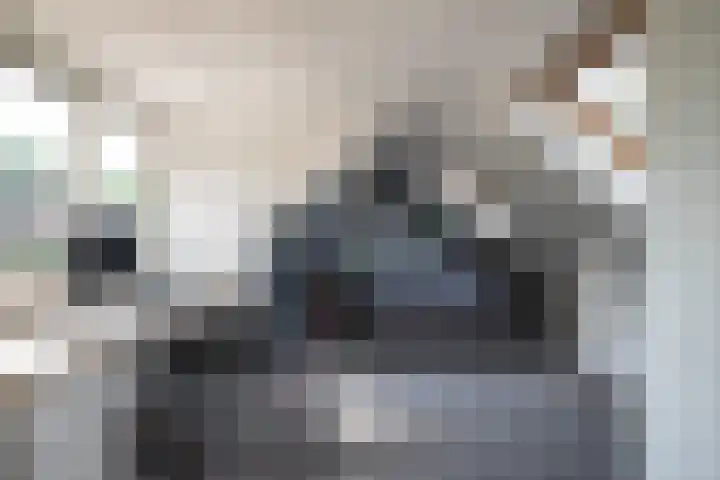Evert Reddersland 30 Staphorst thumbnail 25