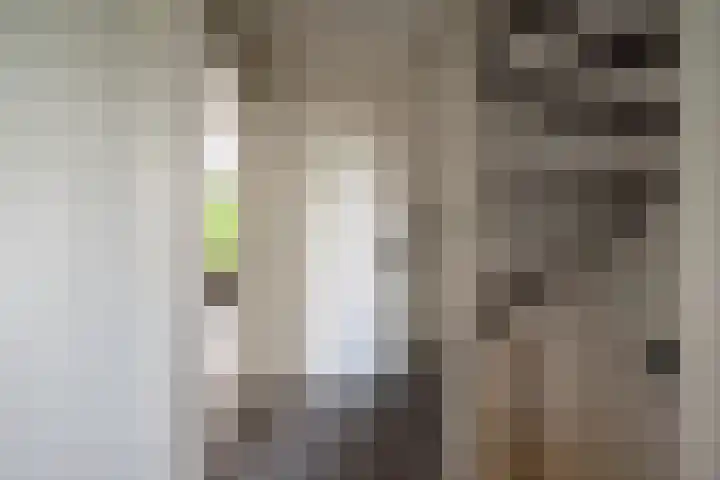Evert Reddersland 30 Staphorst thumbnail 33