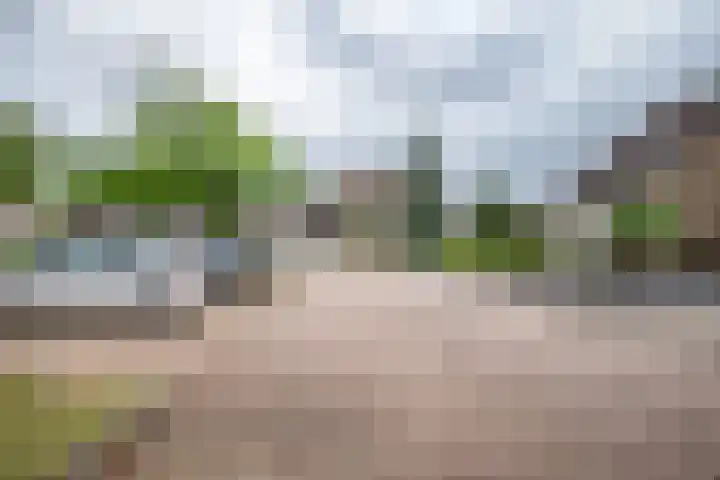 Evert Reddersland 30 Staphorst thumbnail 45
