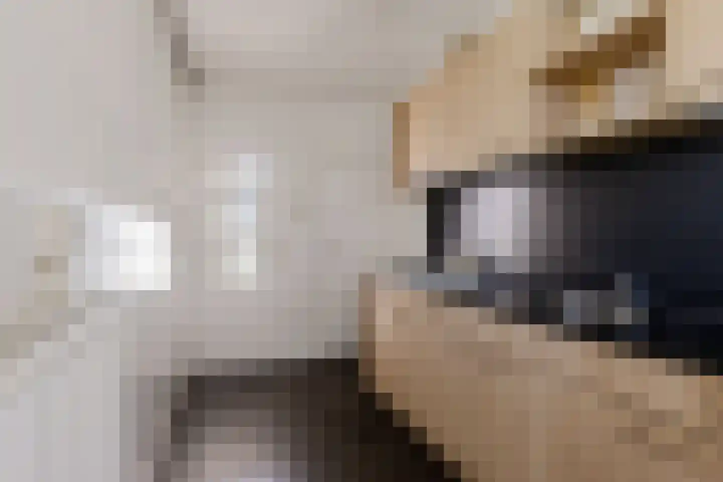 Evert Sybesmastrjitte 22 Tzummarum thumbnail 11