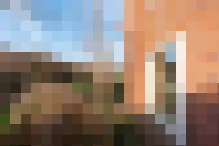 Evert van der Heijdenstraat 45 Wageningen thumbnail 32
