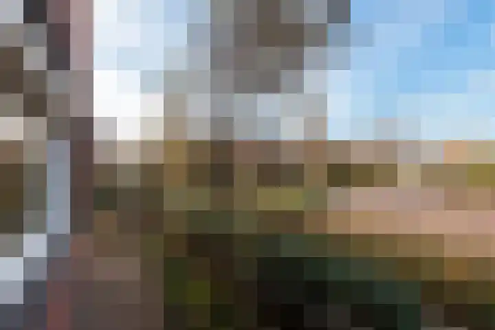 Evert van der Heijdenstraat 45 Wageningen thumbnail 33