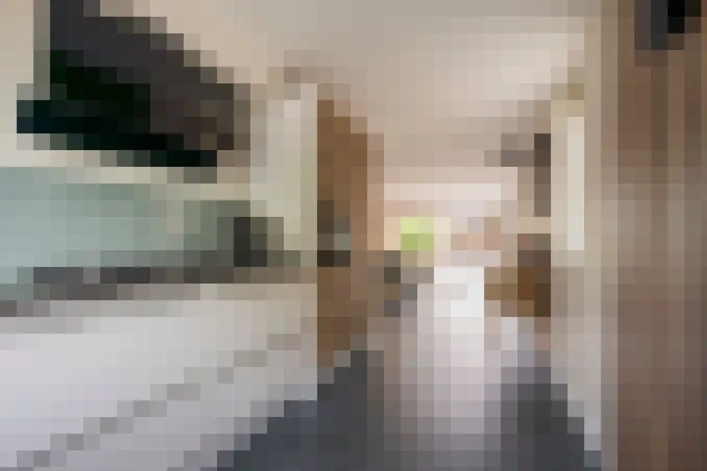 Evert van der Veerlaan 15 Hoevelaken thumbnail 14